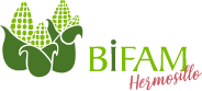 Logo Bifam
